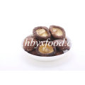 100% natürlicher Verschmutzungsfreier getrockneter 4-5cm glatter Shiitake-Pilz